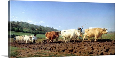 Ploughing in Nevers by Rosa Bonheur