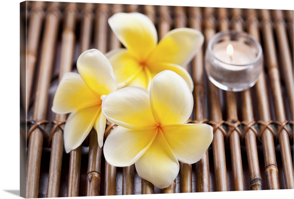 Plumeria flowers and scented candle