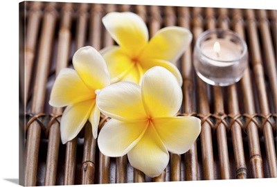 Plumeria flowers and scented candle