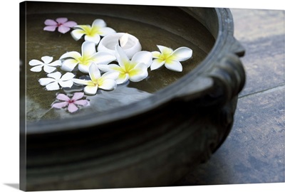 Plumerias and a tealight in bowl