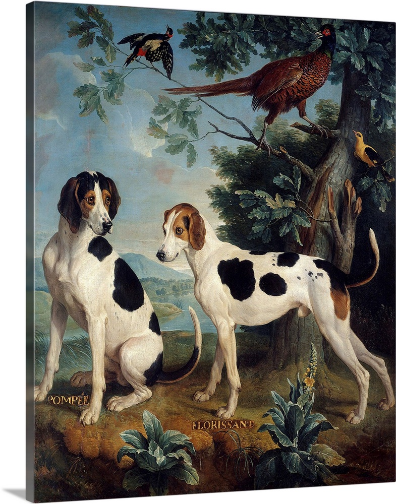 Pompee and Florissant, dogs of Louis XIV (1638-1715). Painting by Francois Desportes (1661-1743), 1739. Castle Museum, Com...