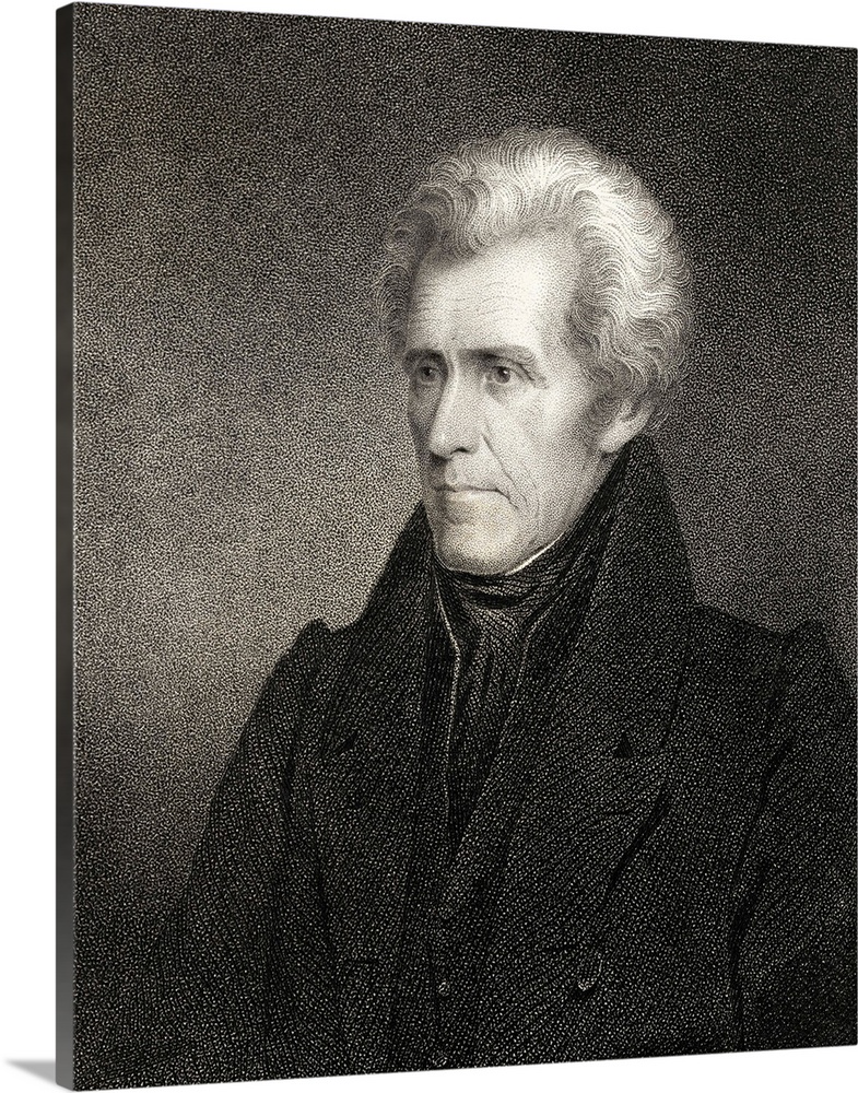 Andrew Jackson (1765-1845), seventh President of the United States, known as Old Hickory.