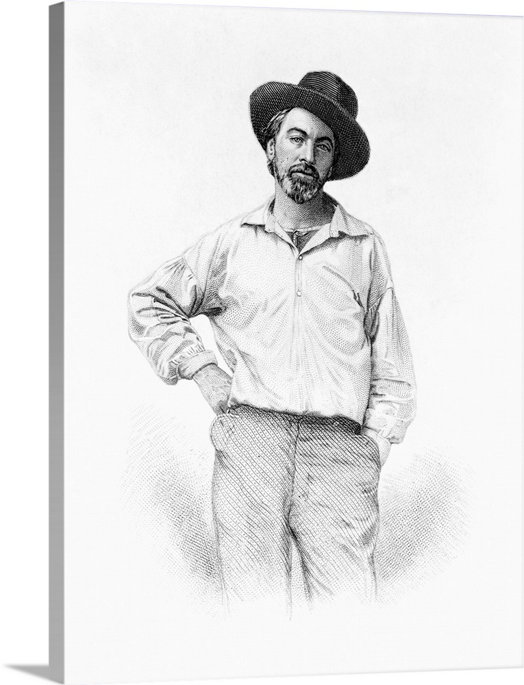 A steel engraving of Walt Whitman in his 30s. This portrait appeared on the first edition of Leaves of Grass, published in...