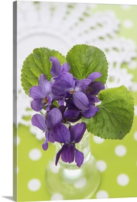Posy of violet flowers
