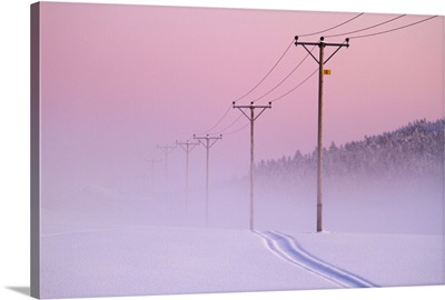 Powerlines old pink sky, foggy snow track woods, misty, winter, purple sunset.