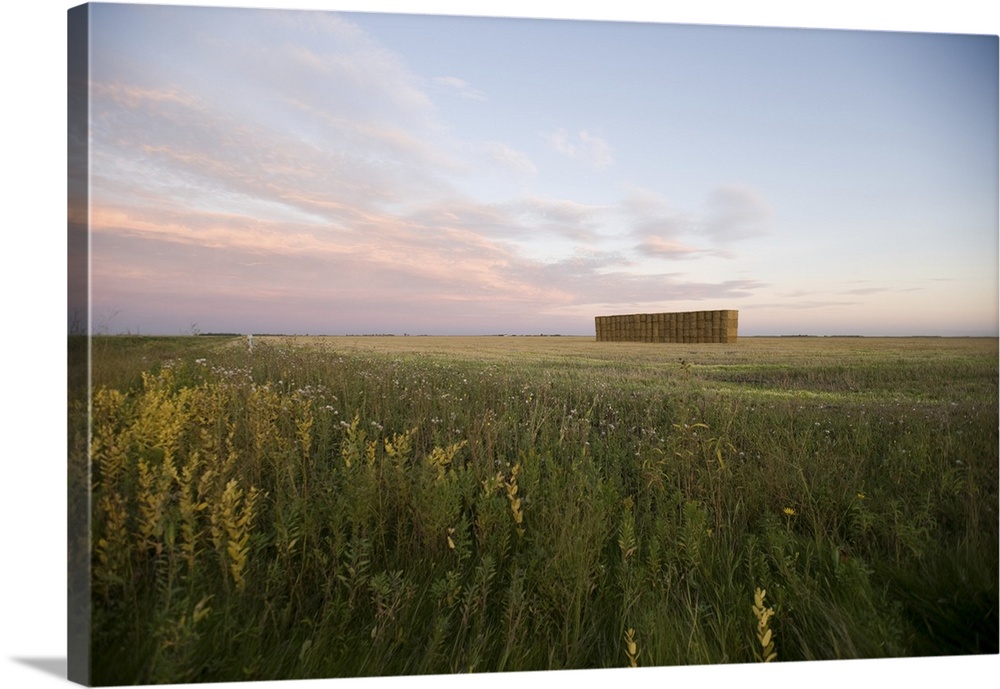 Prairie field, Manitoba, Canada