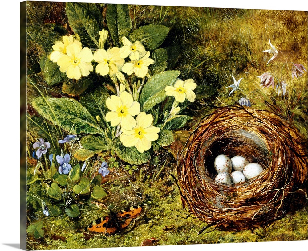 Primroses With A Bird's Nest By H. Bernard Grey