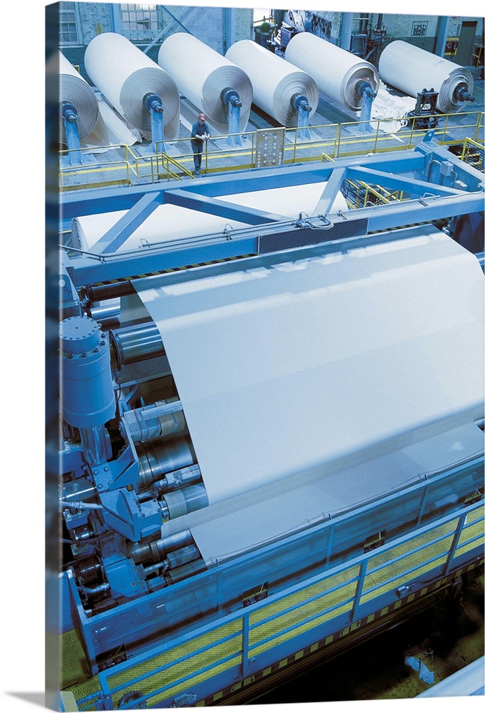 Printing press and rolls of paper