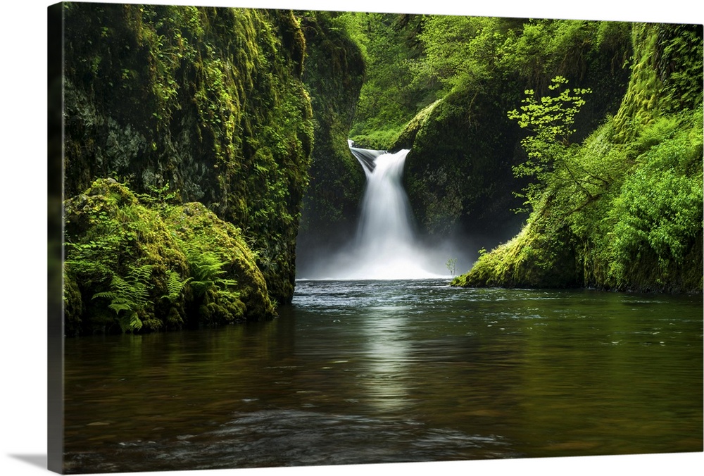Punchbowl falls in green forest.