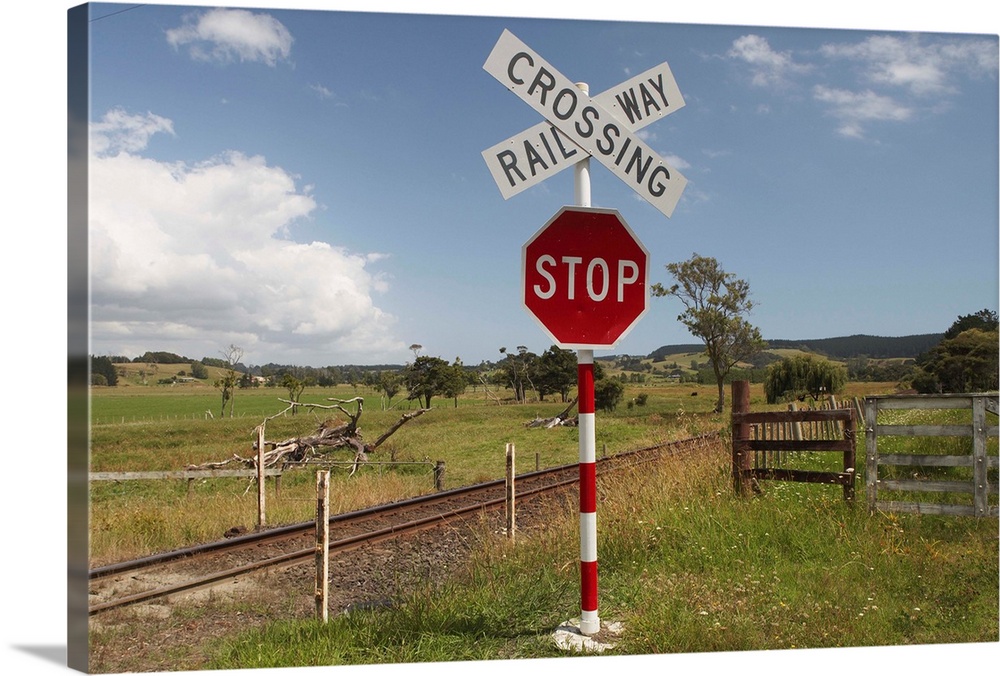 A railway crossing and stop sign in farmland west of Auckland on a summer afternoon.