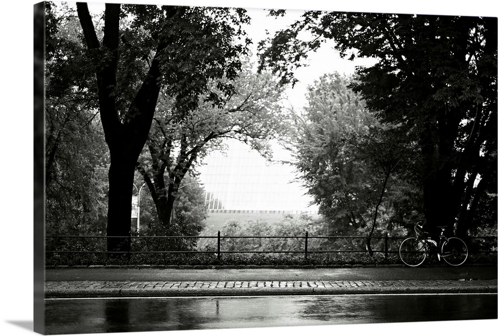 Rain, Central Park, Manhattan, New York