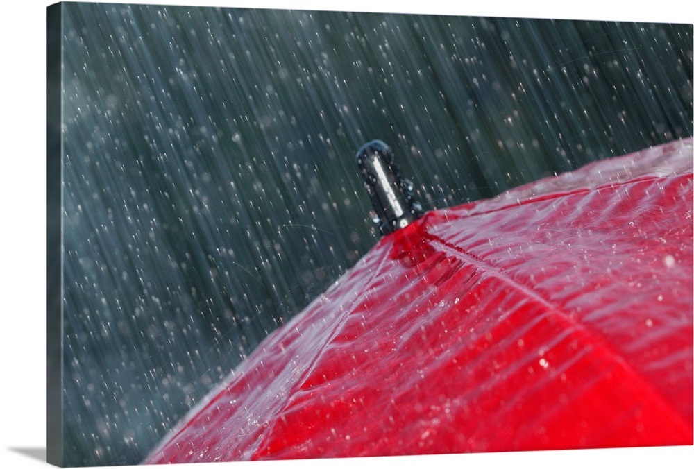 Rain falling on umbrella Wall Art, Canvas Prints, Framed Prints, Wall ...