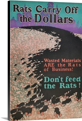 Rats Carry Off The Dollars