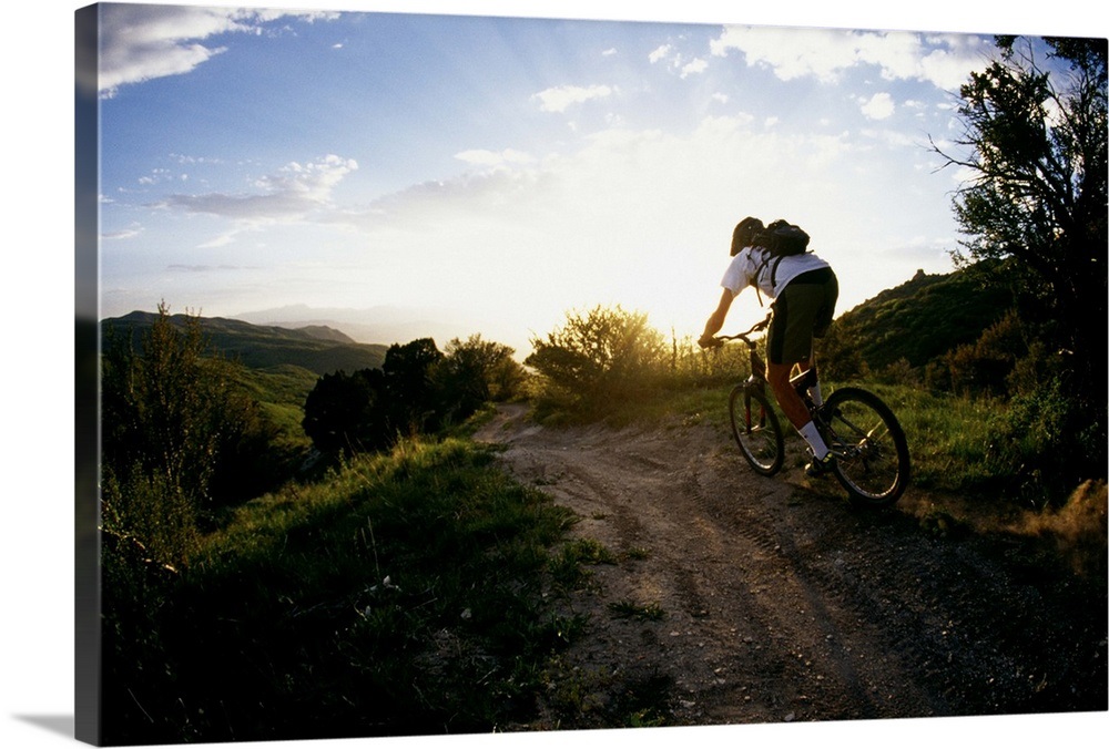 Rear view of cyclist on outdoor path Wall Art, Canvas Prints, Framed ...