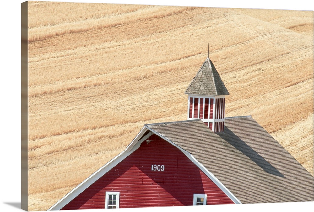Golden fields of wheat surround an eastern Washington barn west of Pullman. | Location: near Pullman, Washington, USA.
