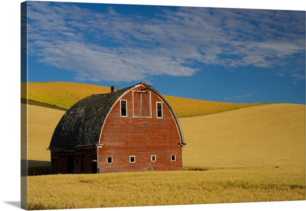 Red Barn In Wheat Field