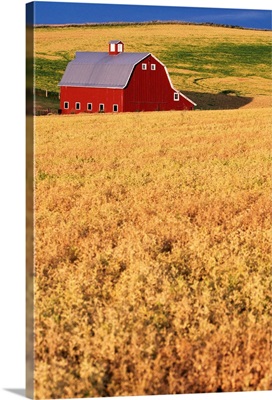 Red Barn On Rolling Hills