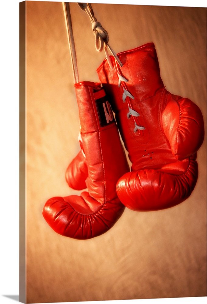 Red Boxing Gloves