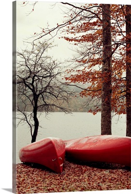 Red canoes park fallen leaves by the lake