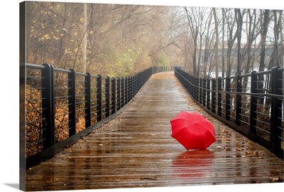 Red umbrella abandon on a wet nature trail