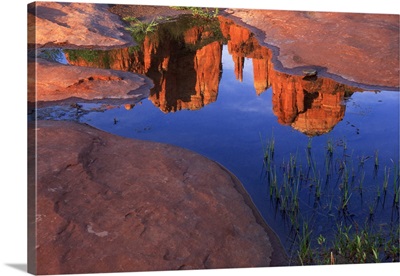 Reflection of Cathedral Rock at Red Rock Crossing in puddle, Sedona, Arizona