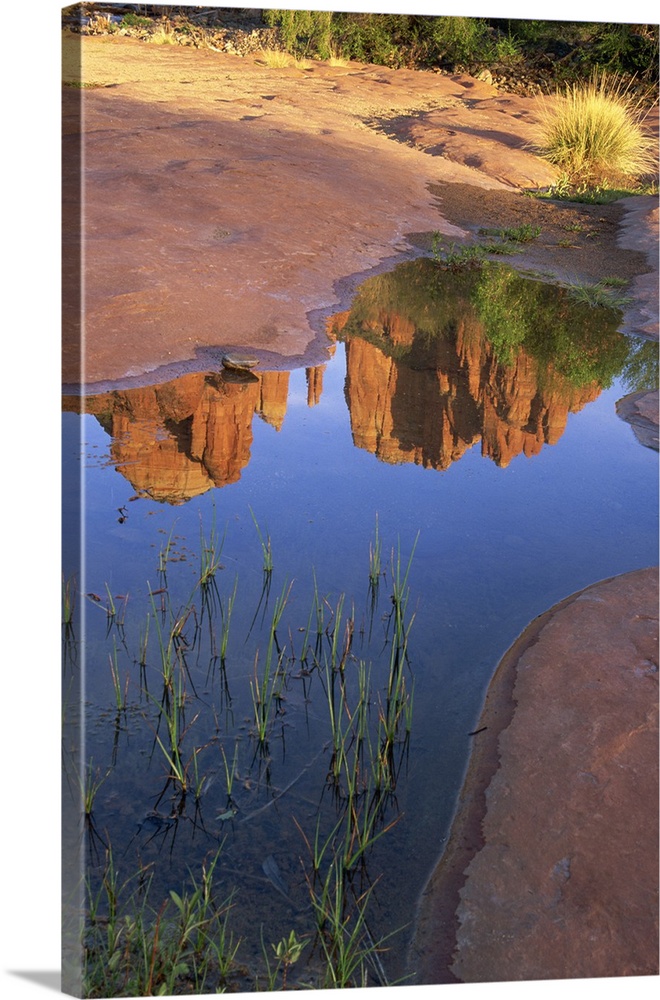 Reflection of Cathedral Rock , Sedona , Arizona