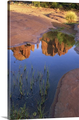 Reflection of Cathedral Rock, Sedona, Arizona