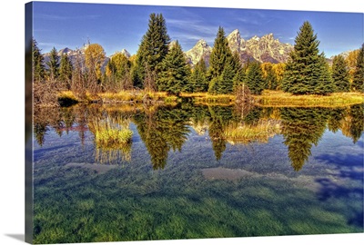 Reflection of trees and landscape, Grand Teton National Park, Jackson Hole.
