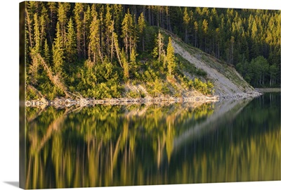 Reflections of Pine Trees on Still Lake