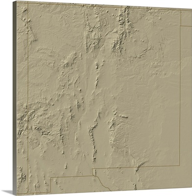 Relief Map of New Mexico