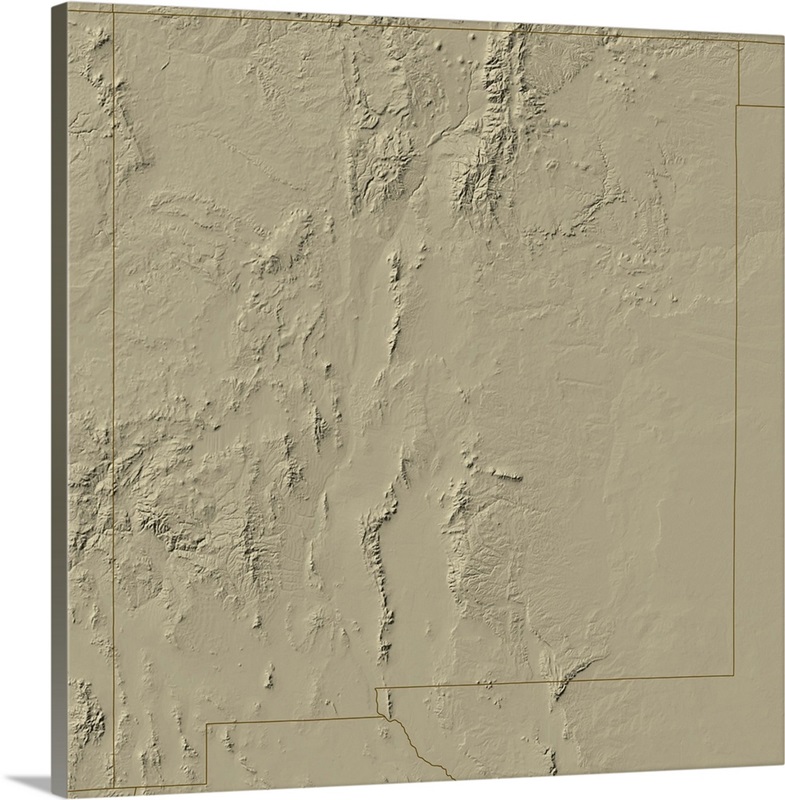 Relief Map of New Mexico | Great Big Canvas