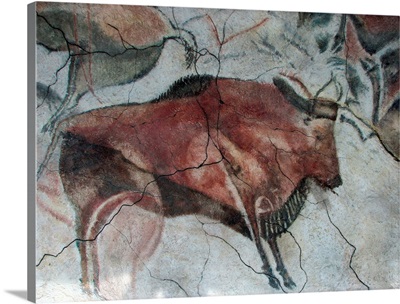 Replica Of Cave Painting Of Bison From Altamira Cave