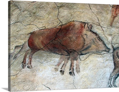 Replica Of Cave Painting Of Boar From Altamira Cave