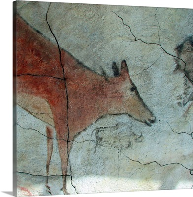 Replica Of Cave Painting Of Doe From Altamira Cave