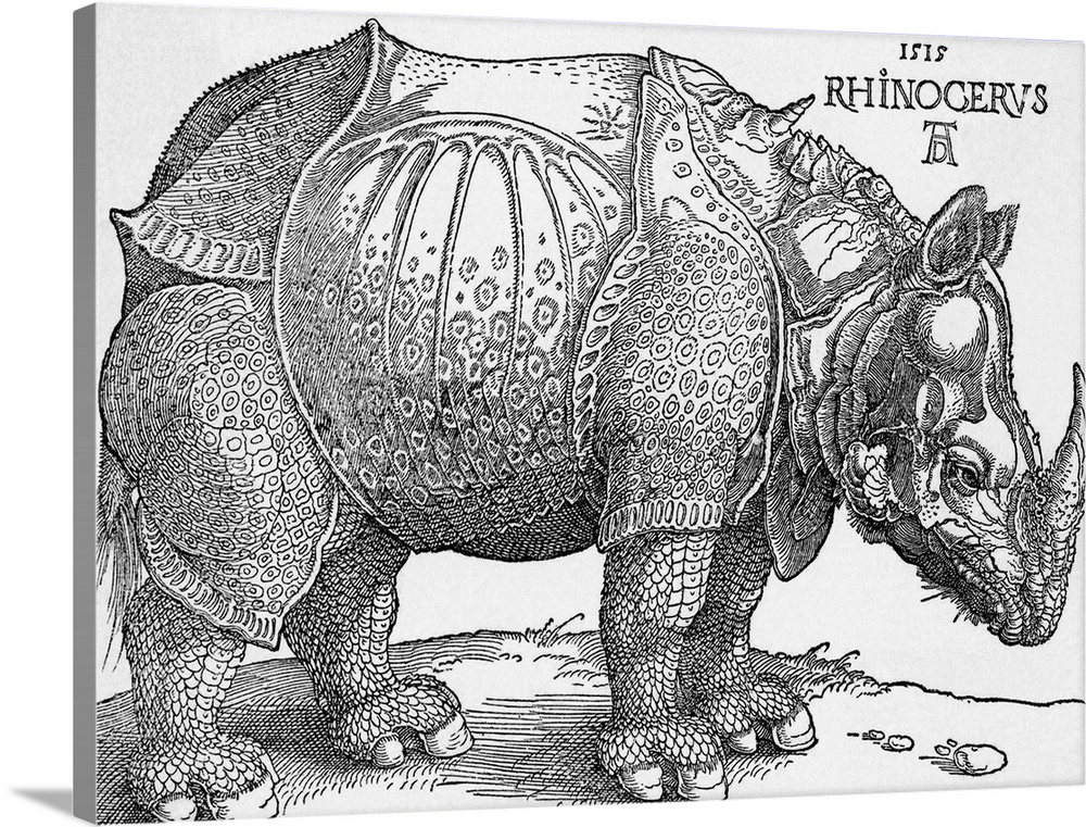 Drawing of a rhinoceros by Albrecht Durer, c. 1515. BPA2