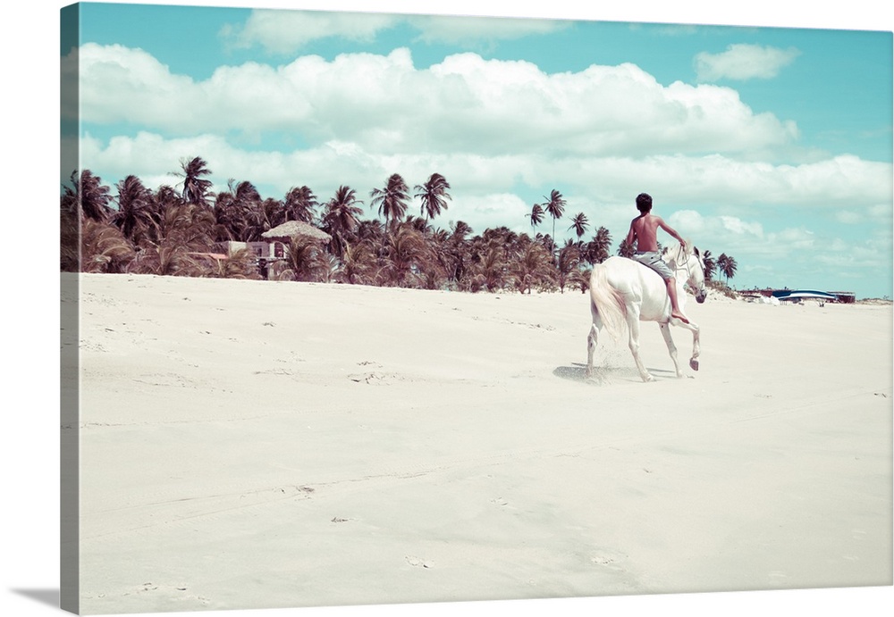 Boy riding on white horse on the beach, blue sky, sand, clouds and palm trees are part of the landscape