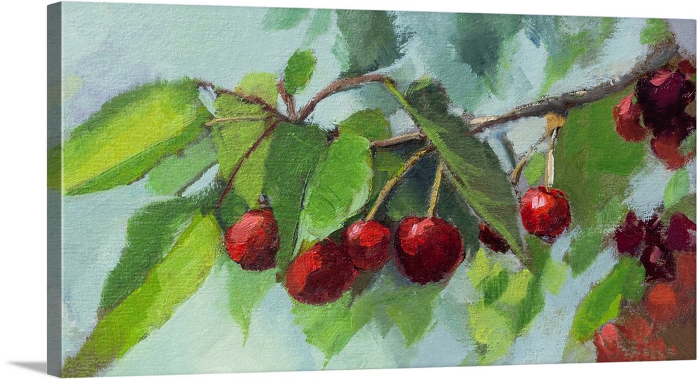 Bright scarlet cherries on a branch.