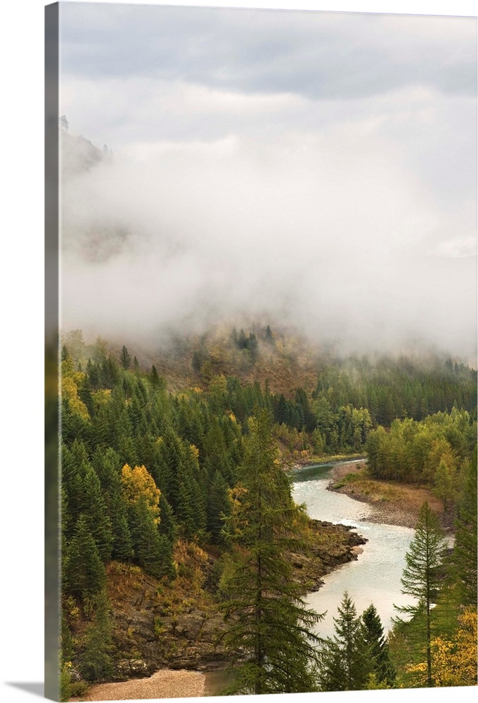 River and forest covered by fog