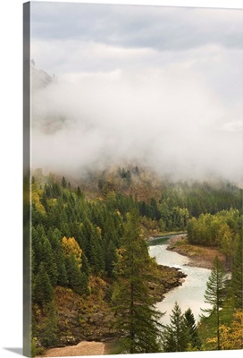 River and forest covered by fog, Montana