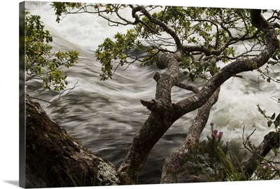 River in flood