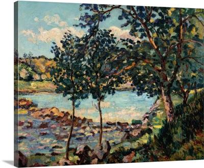 River Landscape