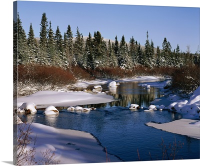 River with snow-covered banks and trees