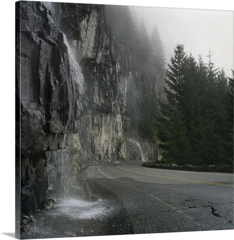 Spontaneous spring waterfalls cascade down cliffs at edge of Stevens Canyon Road in Mt. Rainier National Park.