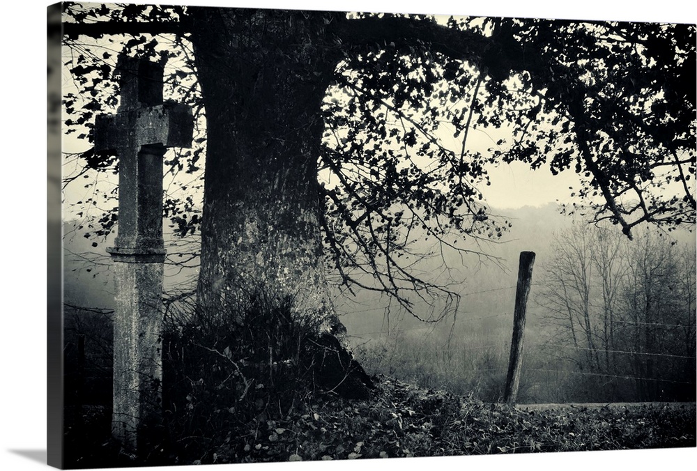 wayside cross, foggy morning, tree