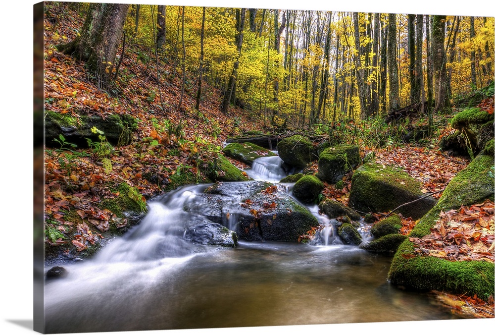 Beautiful stream cascades through forest in autumn, Roan Mountain.