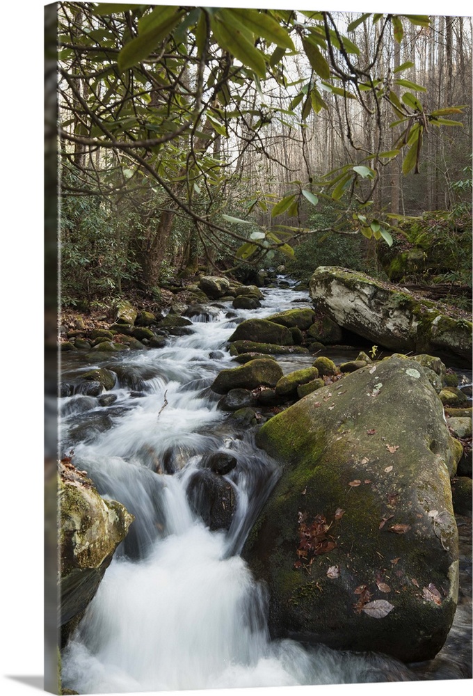 Water flows down Roaring Fork Creek, Great Smoky Mountains National Park.