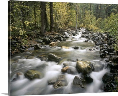 Robinson creek, Washington state
