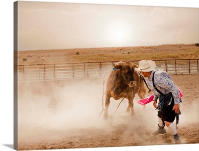 Rodeo Clown Distracting A Bull, Utah