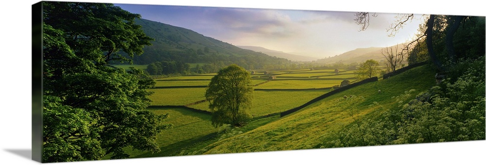 Rolling hills and pastures in rural landscape