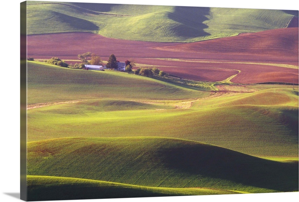Rolling hills, farm land, Eastern Washington Wall Art, Canvas Prints